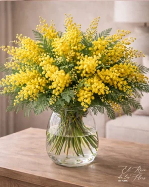 Ramos de mimosa en Montmeló