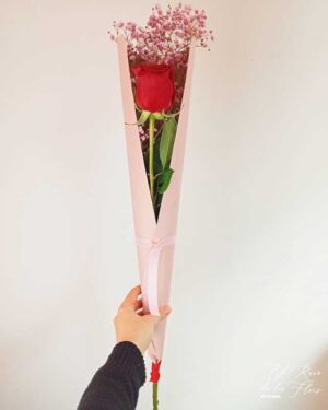 Rosa de tallo  de 70 cm con cono de cartón y paniculata rosa.