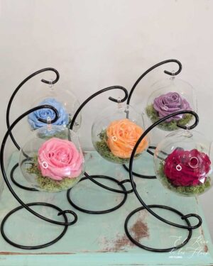 Cúpulas colgantes con rosas preservadas