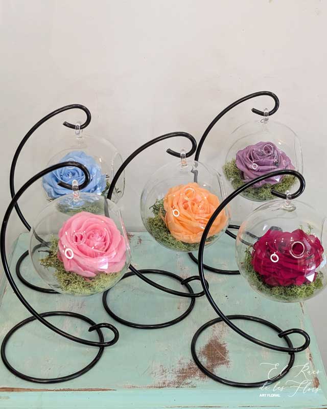 Cúpulas colgantes con rosas preservadas