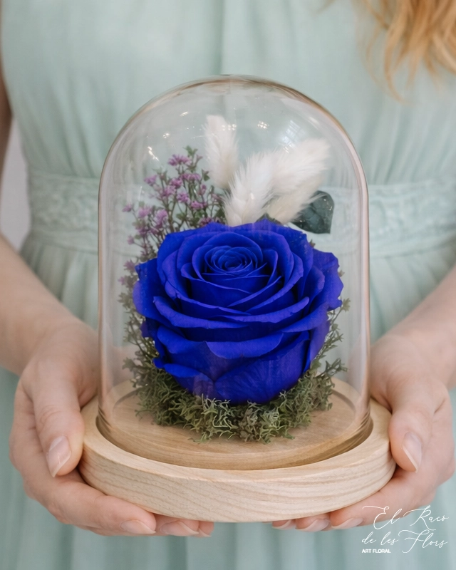 Cúpula con rosa azul Klein preservada. Tamaño extra. Acompañada con eucalipto, paniculata y musgo preservado. Medidas 16cm altura x 12cm diámetro