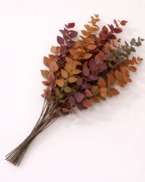 Eucalipto preservado otoñal mezcla