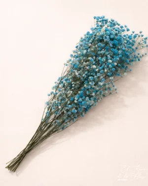 Paniculata preservada color azul. Paquete a volumen aproximadamente 5 tallos. Altura 60cm