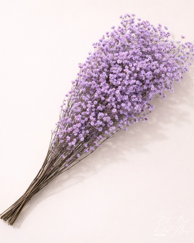 Paniculata preservada malva Paquete a volumen aproximadamente 5 tallos. Altura 60cm