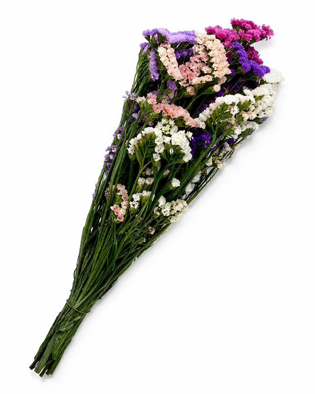 Statice mezcla preservado