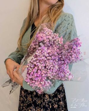 Paniculata preservada malva