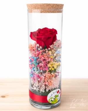 Tubo con rosa preservada y paniculata