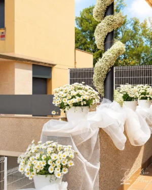 Entrada de casa los padres de la novia. Guirnalda de panículata, 3m 190€ Macetas y tela, a consultar.