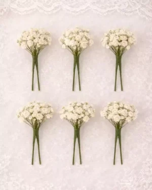Pack de 6 horquillas panículata natural blanca