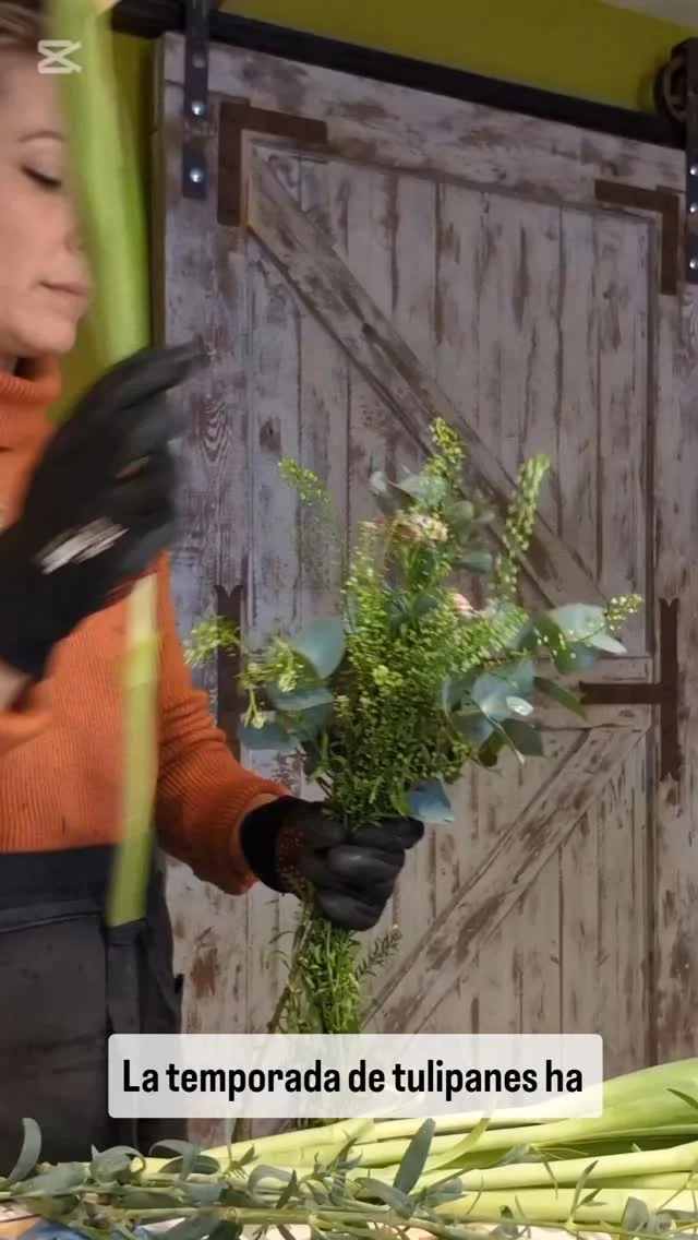 Tulipanes 🌷🌷🌷

Una flor MUY SOLICITADA, os encanta! 

Tiene ese aire silvestre, fresco...
Hay que decir que no es de las flores que más duran... Pero no os importa! La pedís igual 😍

Su temporada ideal, aquí en España (según el clima claro) es de noviembre a abril para encontrarlo bien bonito y a un precio correcto.

Y a ti? Te gustan los tulipanes?#tulipan #tulips #tulipanes #flowers #flores #floristeria
