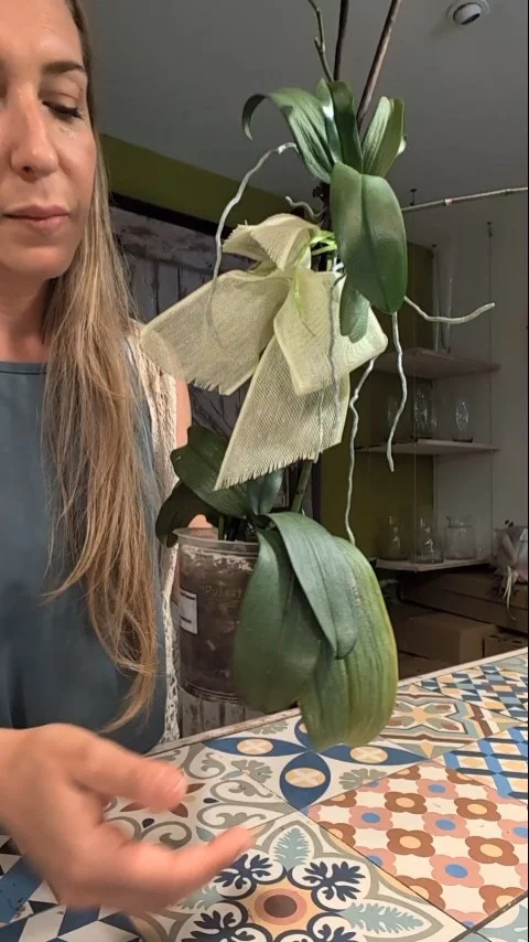 Transplantar orquídea 👇

Cámbiala a un macetero más grande cuando:

💚 Han crecido mucho las hojas verdes.

💚 Se ha quedado casi sin tierra.

💚 Lleva más de dos años sin florecer.

💚 Muchas raíces podridas y dañadas.

#orquidea #orquideas #planneraddict #plantlife #plantas #tropic
